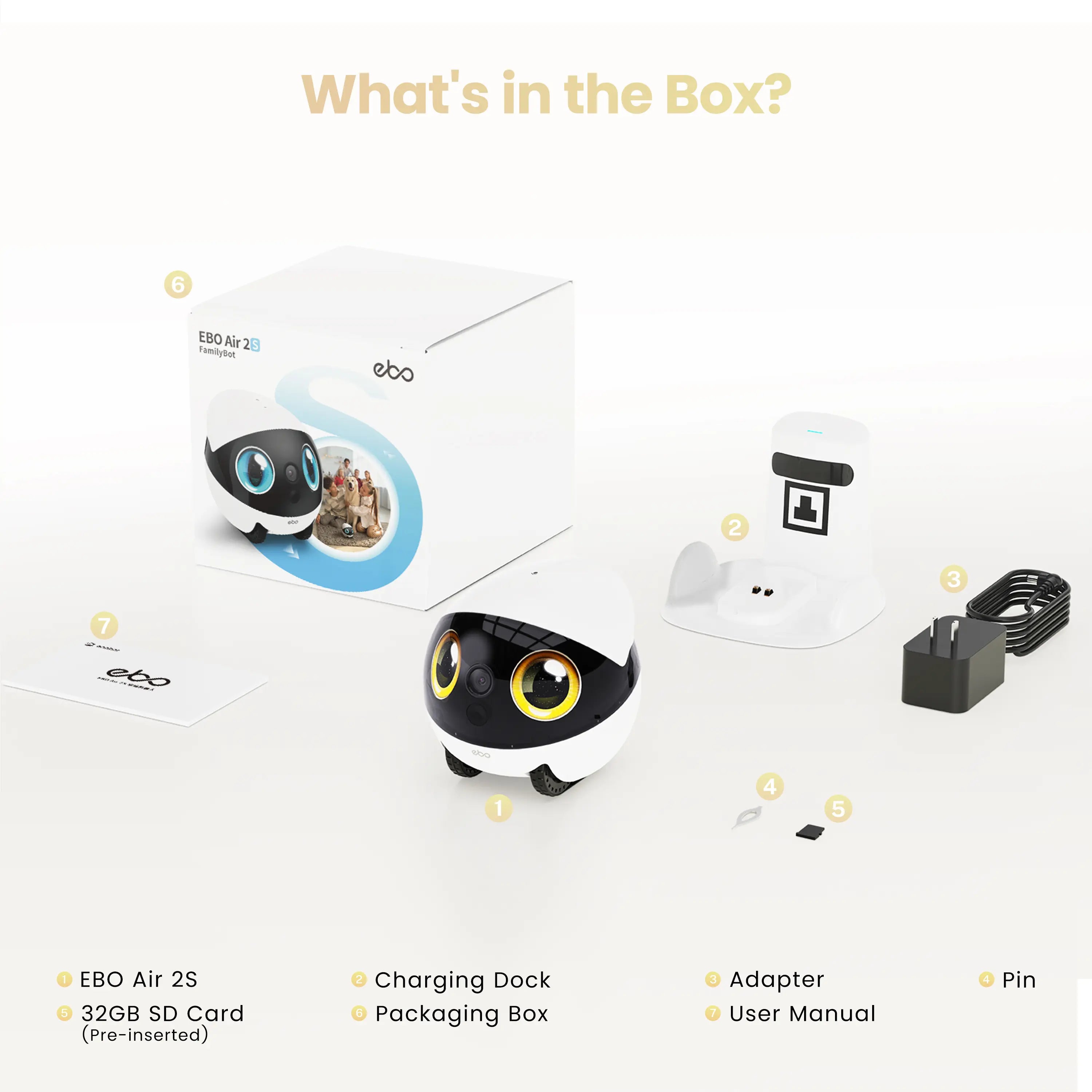 EBO Air 2S FamilyBot