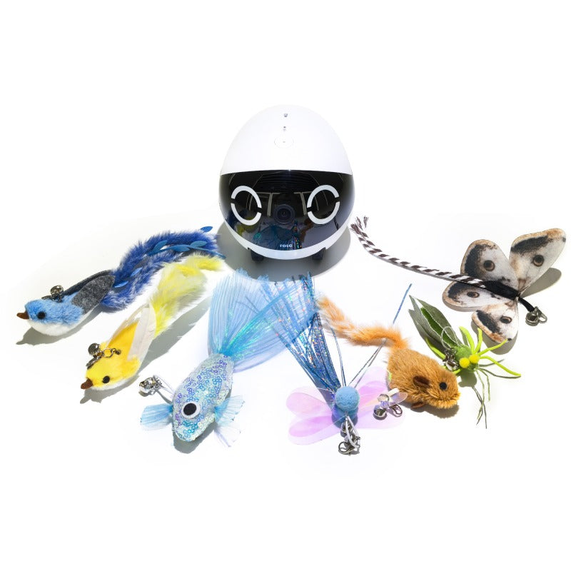 ROLA Mini / EBO Air 2 Plus Cat Teaser Set