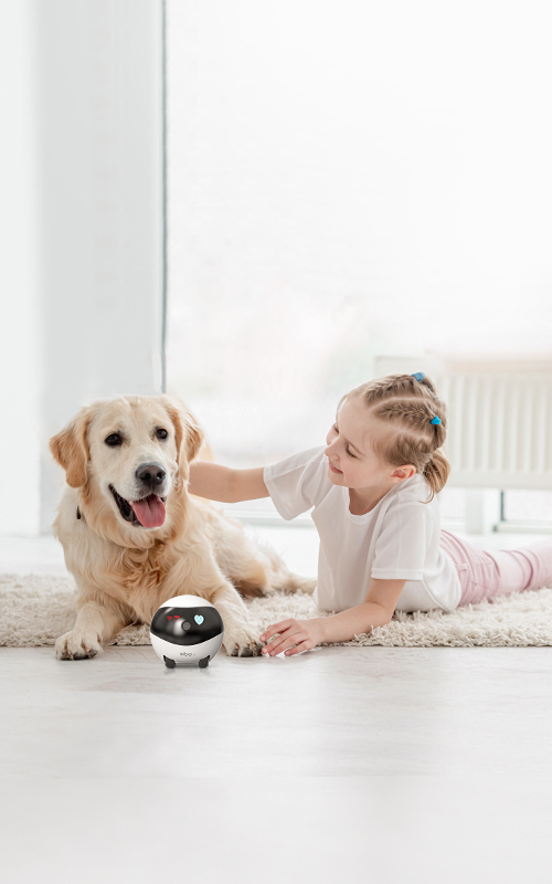 EBO Air with feather