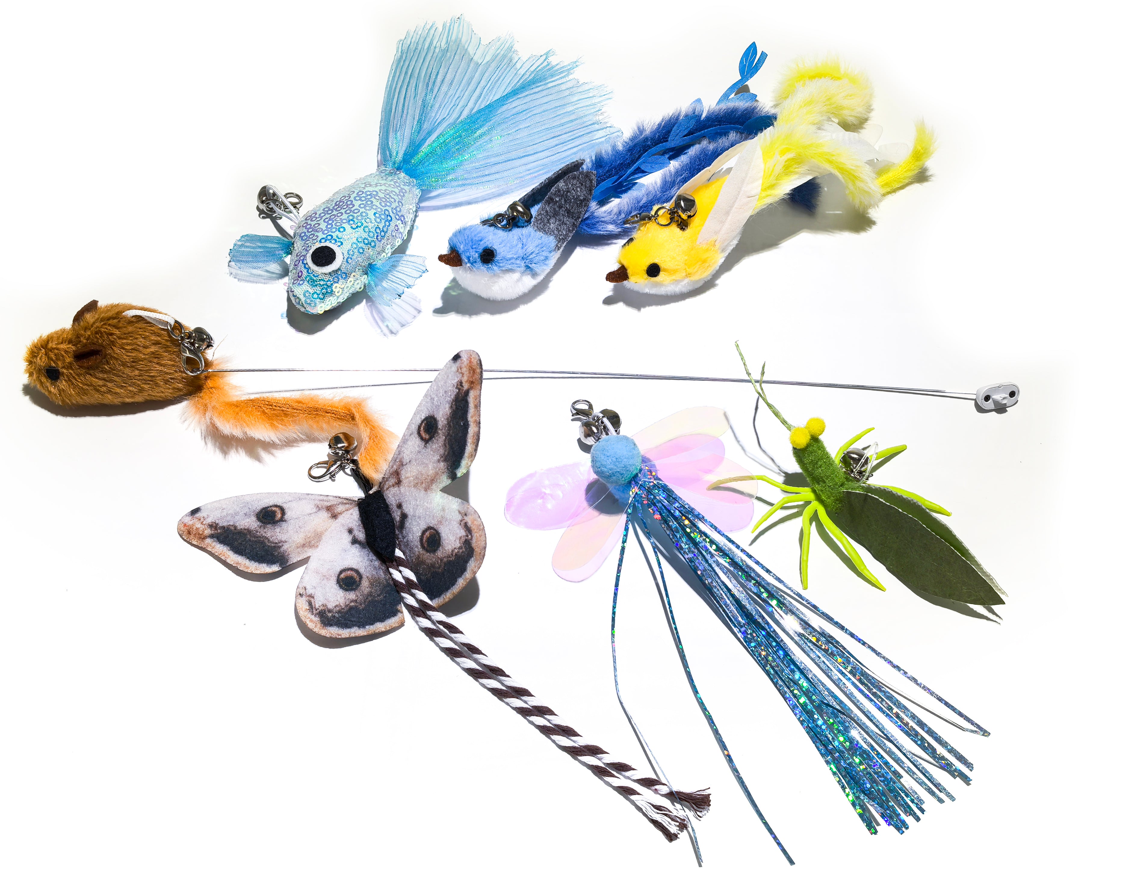 How to make Halloween memorable for your pets?