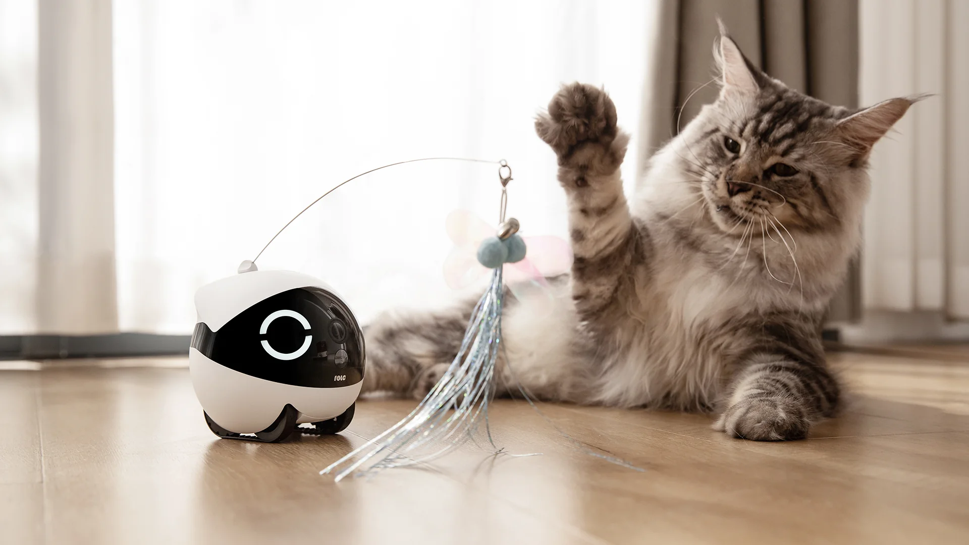 ROLA PetPal with different kinds of pets treats