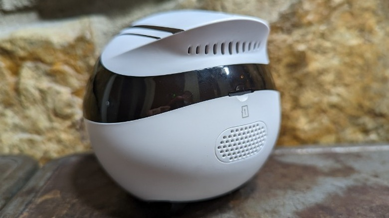 Enabot EBO Air Review: Clever Robot Cat Companion