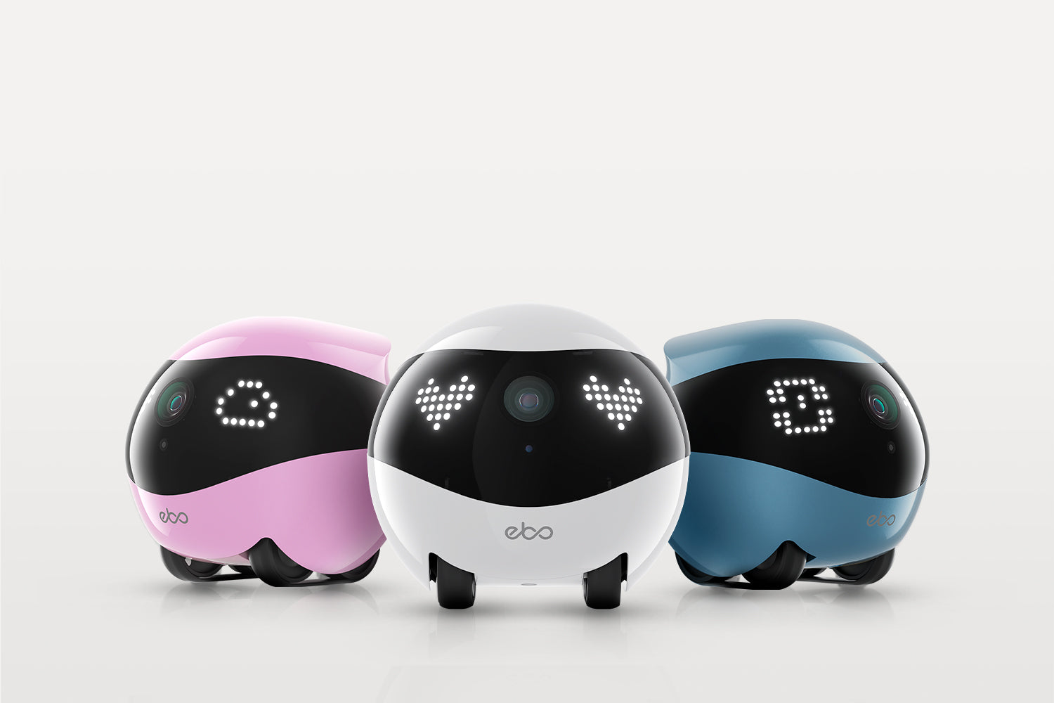 EBO Air 2 companion robot: 3 Color Options Elevate Your Space