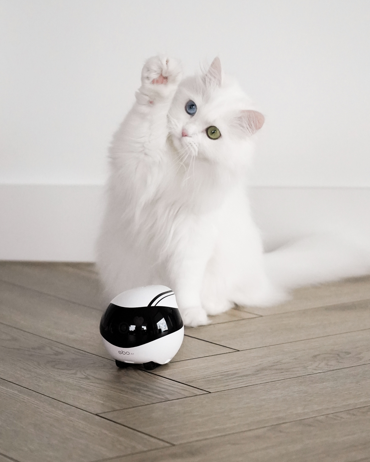 EBO Air with feather