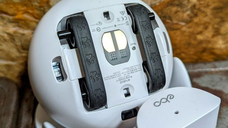 Enabot EBO Air Review: Clever Robot Cat Companion