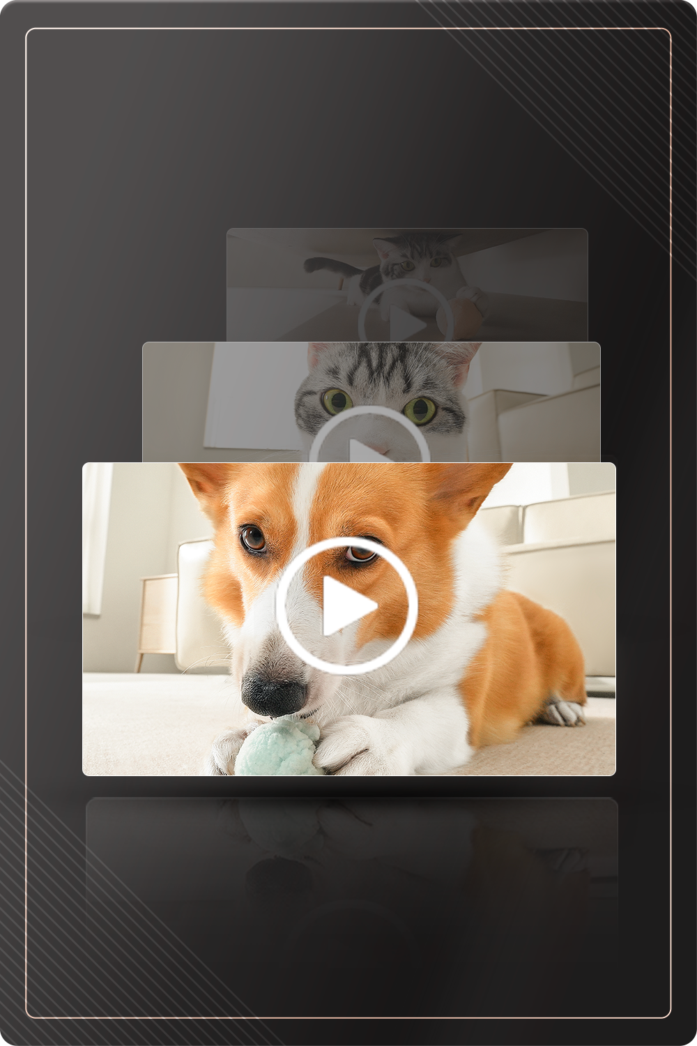 ROLA Mini companion robot cloud+ subscription 2