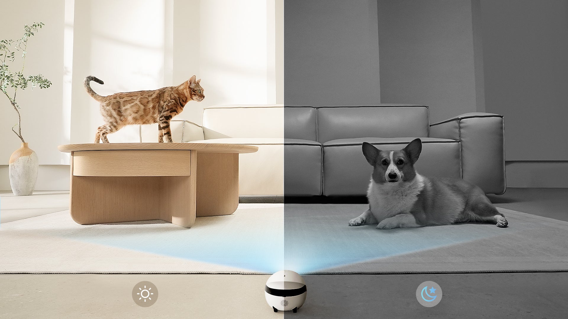 ROLA Mini companion robot baby monitor