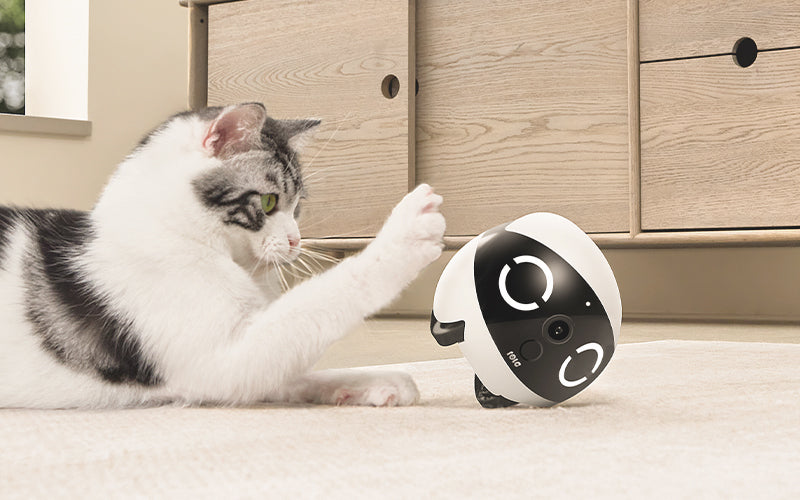 ROLA Mini pet monitor tumbler design